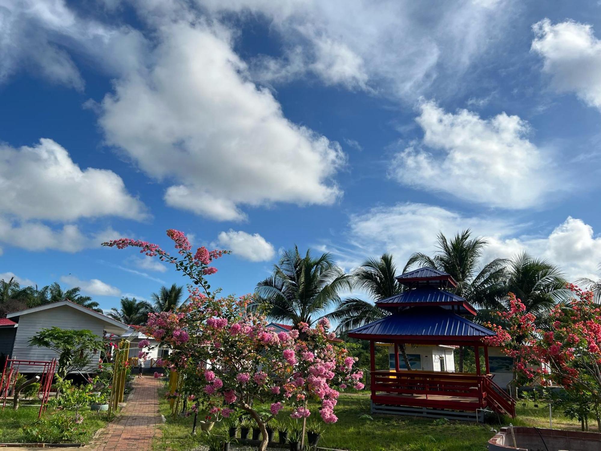 Shunde Palm Resort 仙本那顺德人家棕榈园 Εξωτερικό φωτογραφία